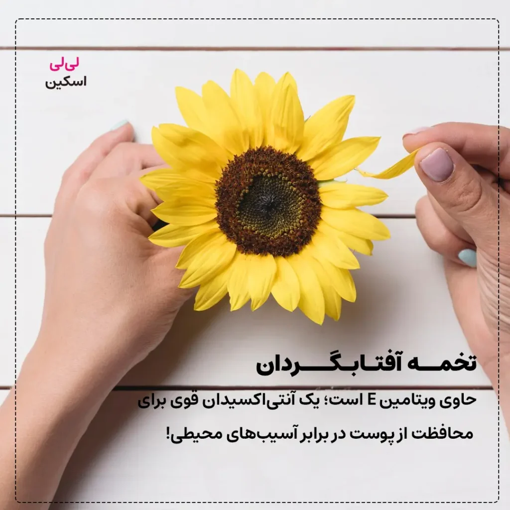 تخمه آفتابگردان برای محافظت از آفتاب