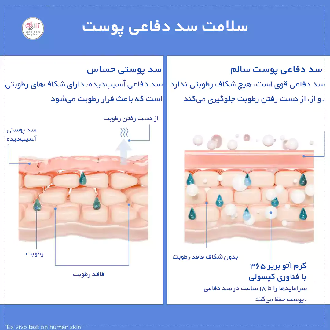 نمودار سد دفاعی آسیب دیده و سالم